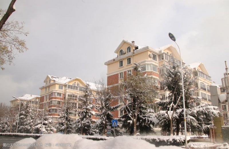 欧美建筑雪后别墅小区图片