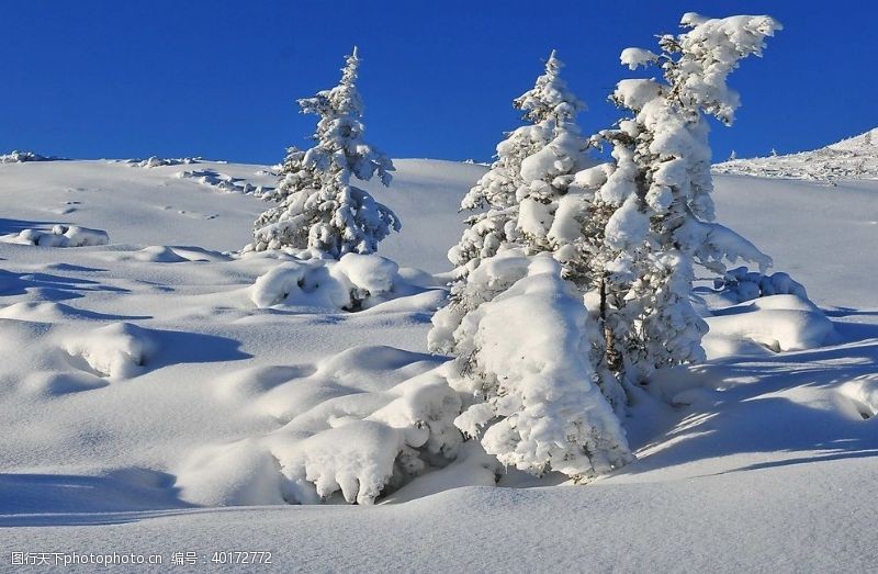美景雪景图片