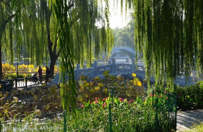 植物园风景园林风景图片