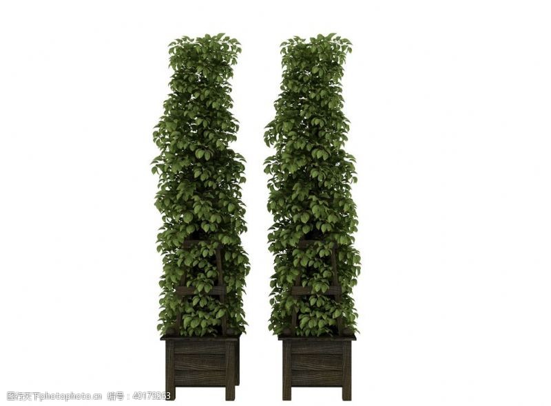 3d设计植物架子3d模型图片