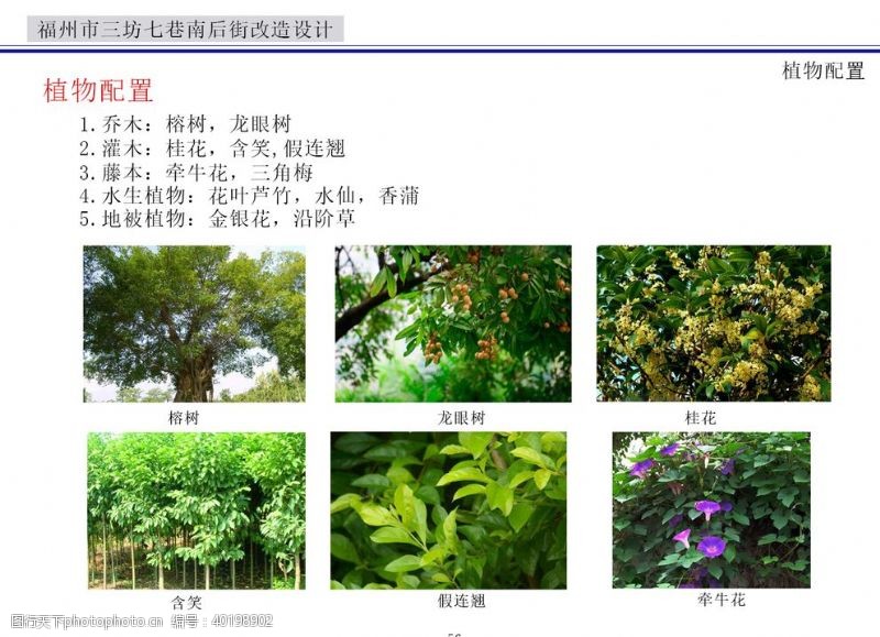 手机banner植物图片