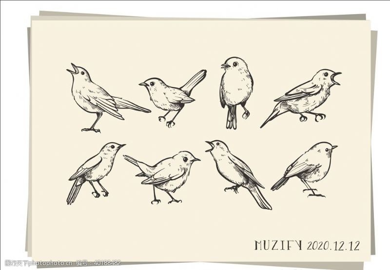 设计手稿8款入小鸟素描画图片