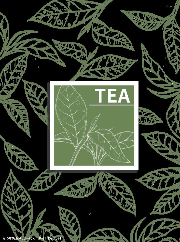 绿色茶茶叶线条图片