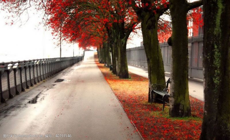 花草背景风景图片