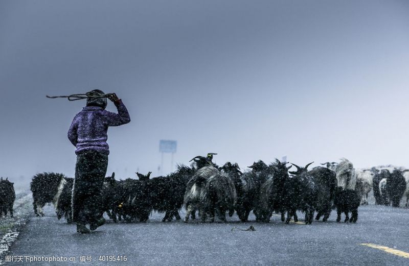 多彩孤独的牧羊人图片
