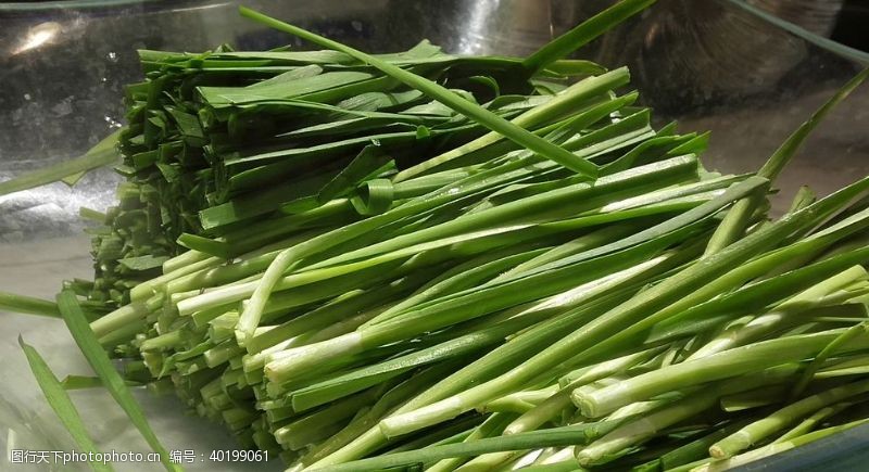 绿色食品韭菜图片