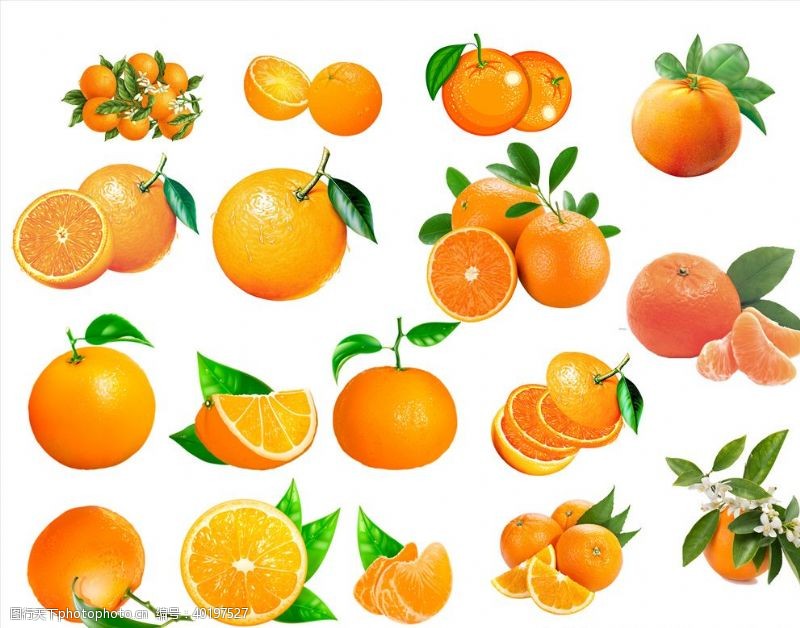 卡通橘子橘子橙子柑橘沃柑砂糖橘图片