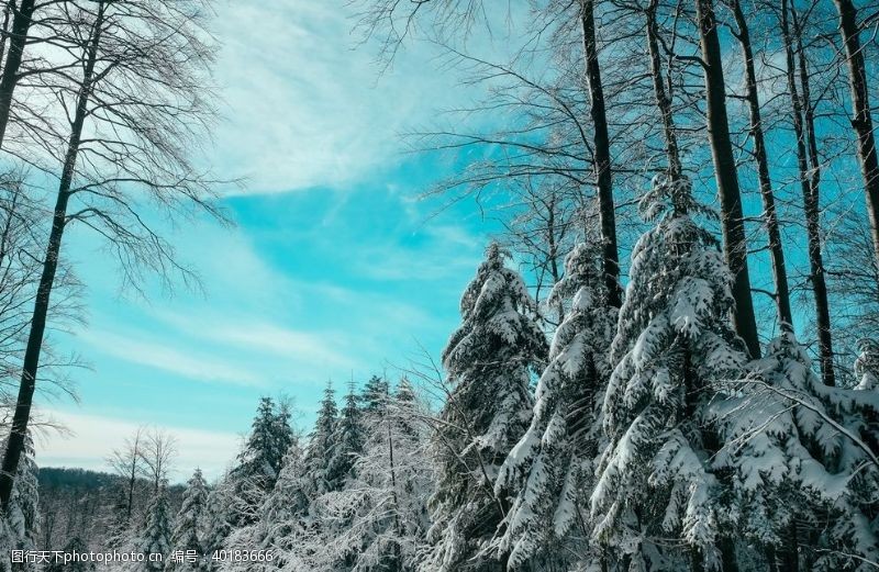 雪景蓝天图片