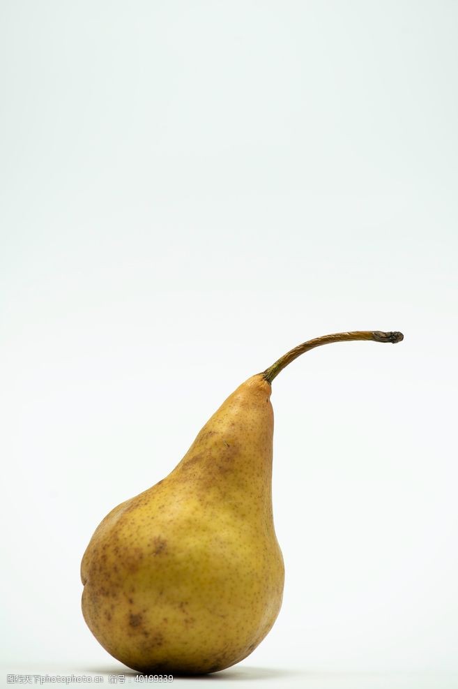 黄色背景梨子图片