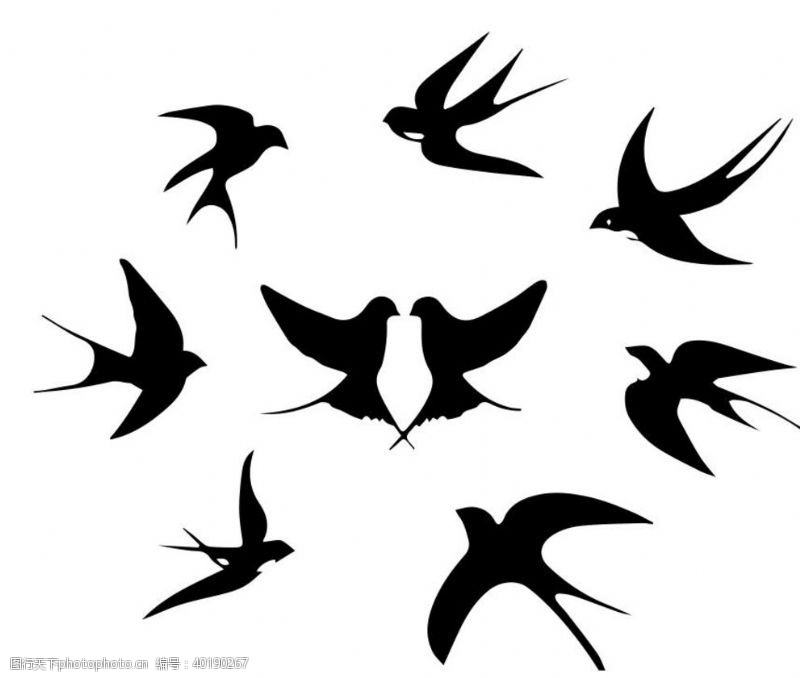 矢量鸟矢量燕子图片