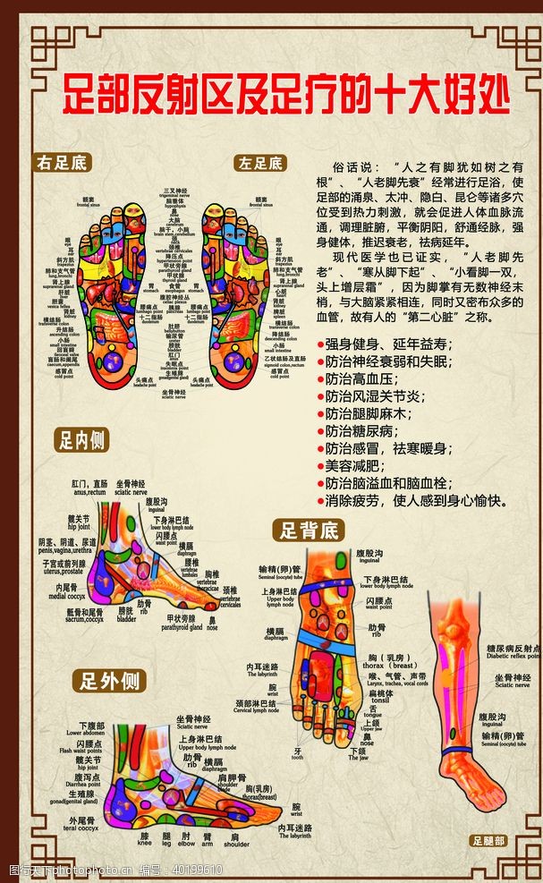 脚部足部反射区及足疗的十大好处图片
