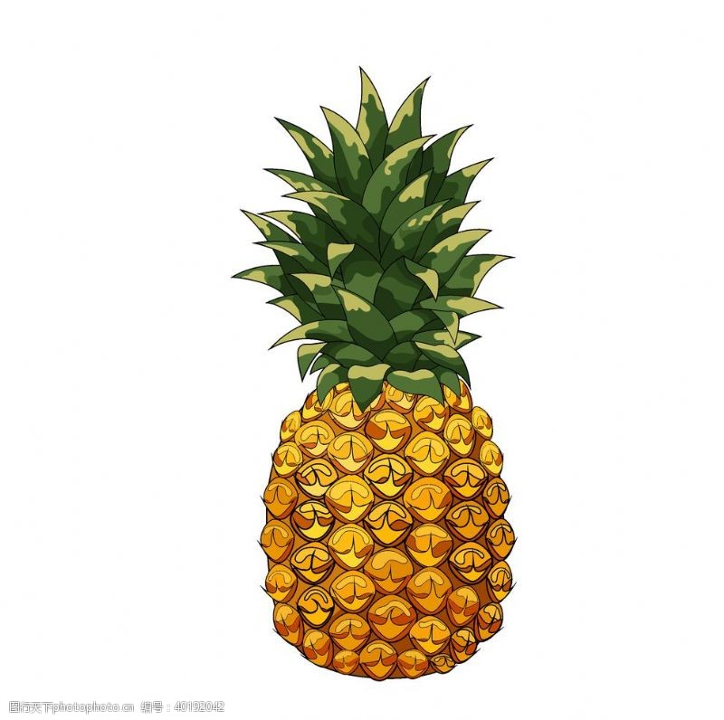 涂鸦菠萝插图图片