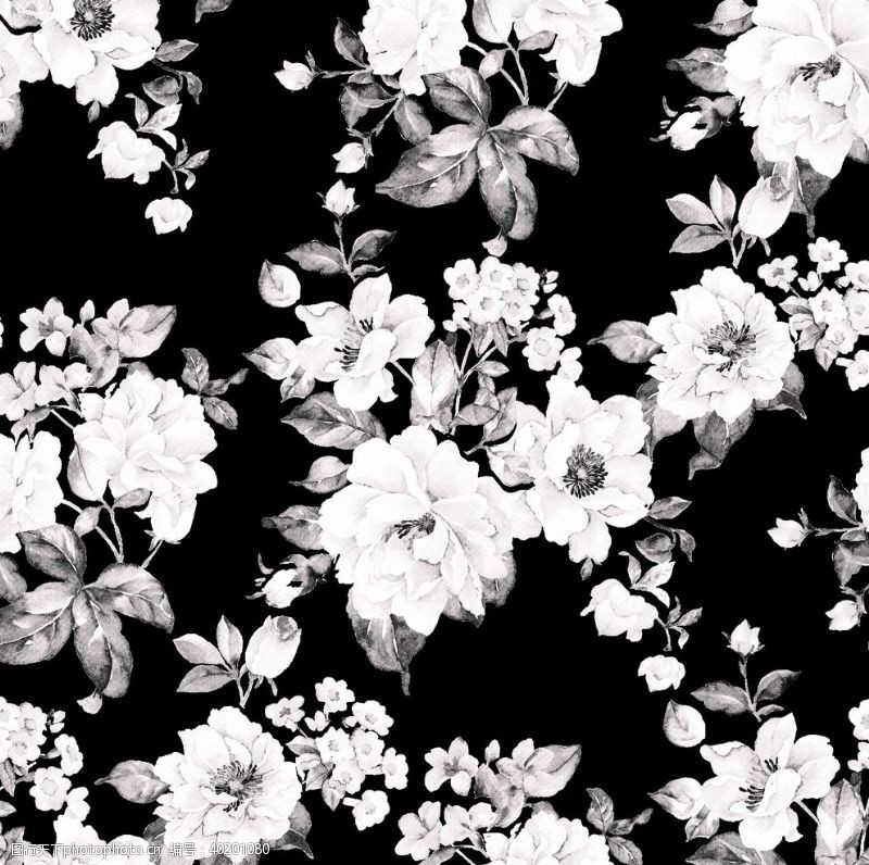 手绘服装设计黑白花图片