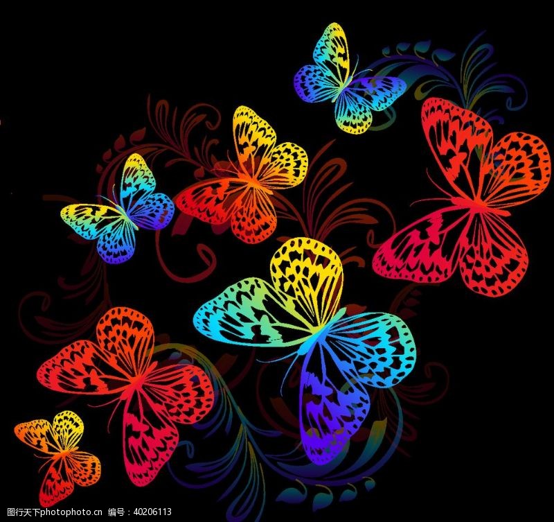 欧式花纹背景蝴蝶图片