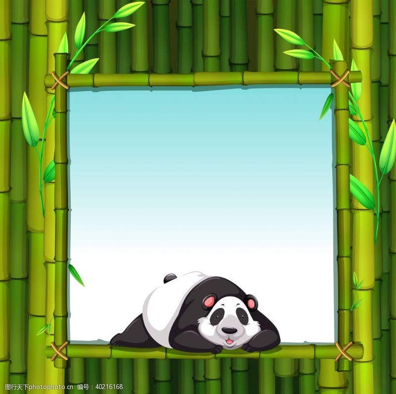 手绘鸟卡通动物熊猫图片