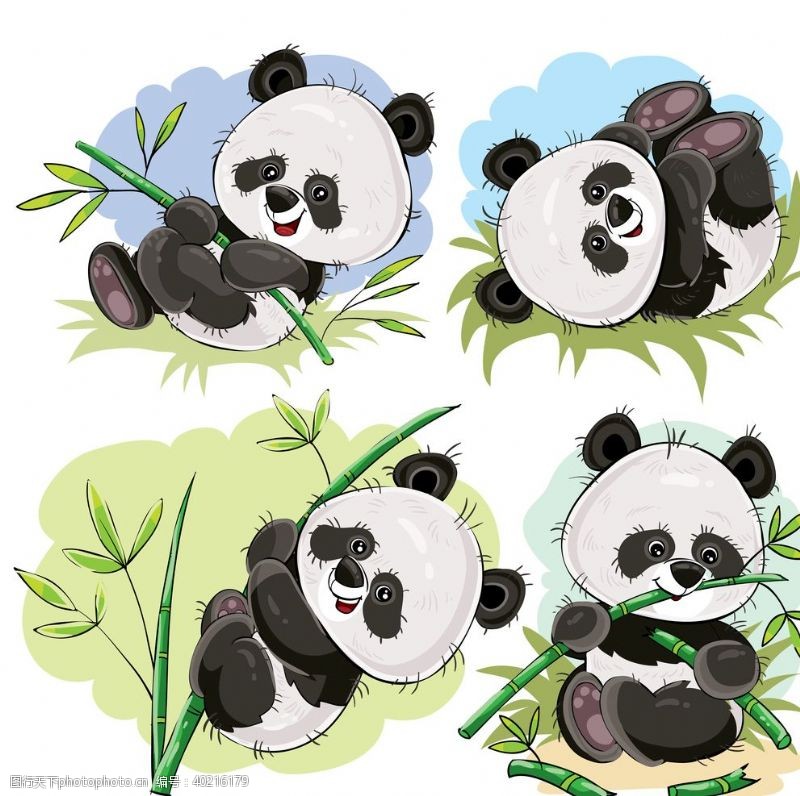 手绘小鸟卡通动物熊猫图片
