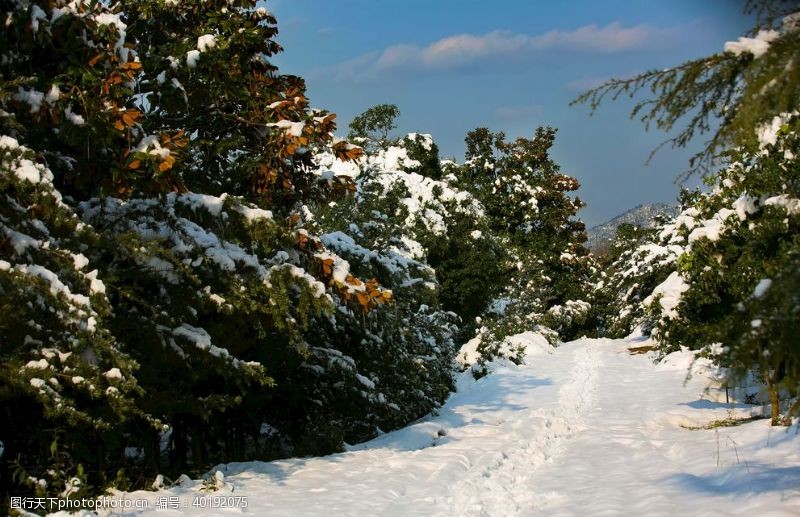 杭州西湖图片妙西雪景图片