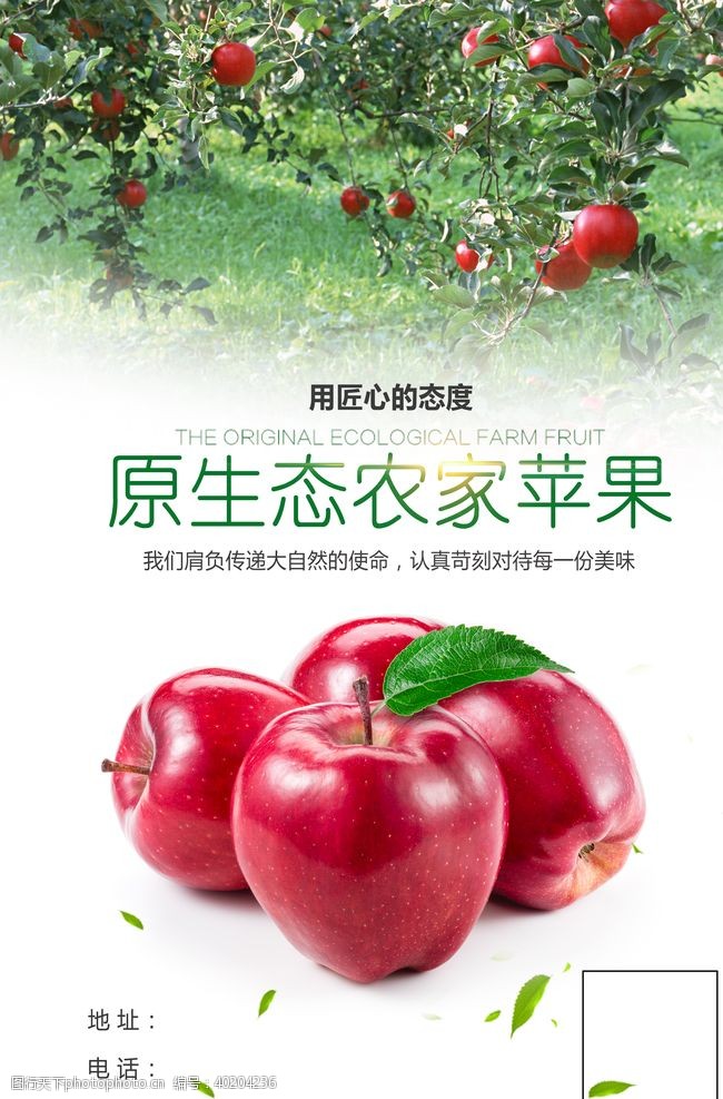 原生态苹果海报图片