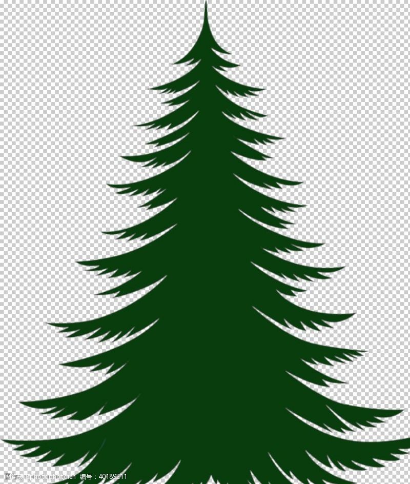 雪松圣诞树素材图片