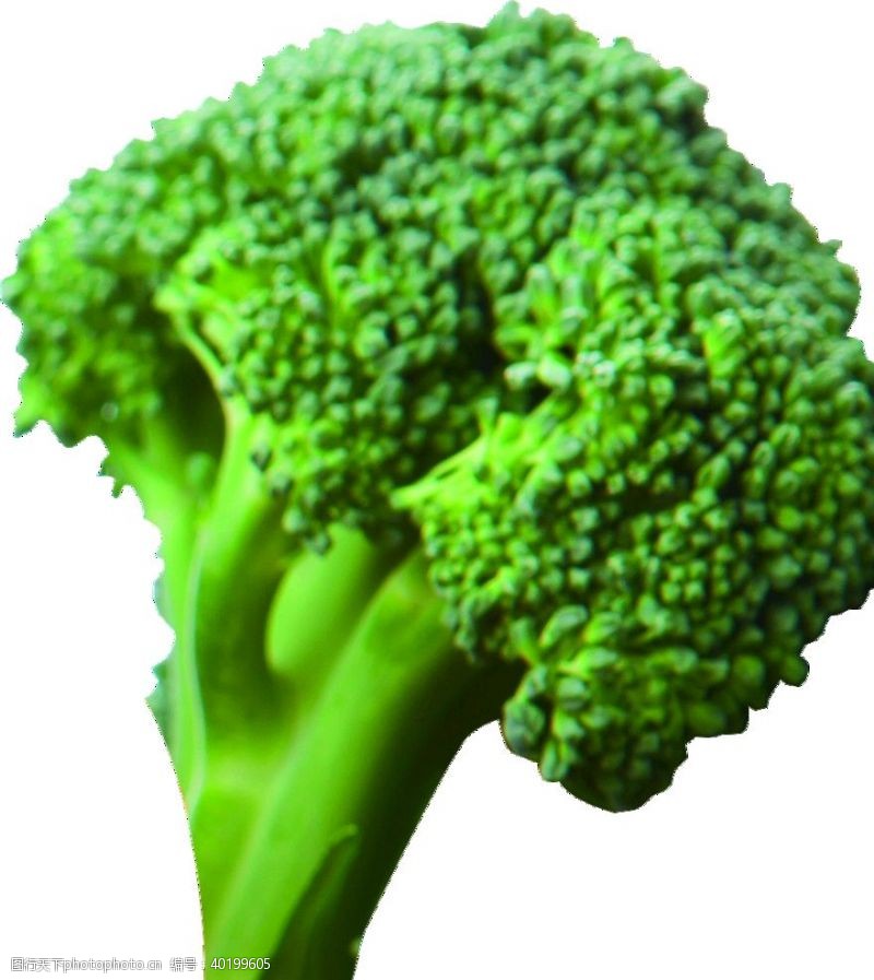 蔬菜海报西蓝花花椰菜透明免抠素材图片