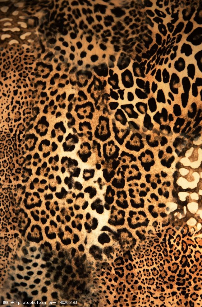 欧式花纹底纹豹纹图片