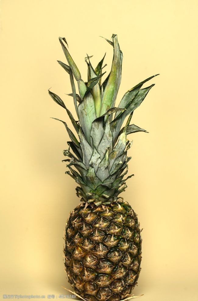 超市x展架菠萝图片