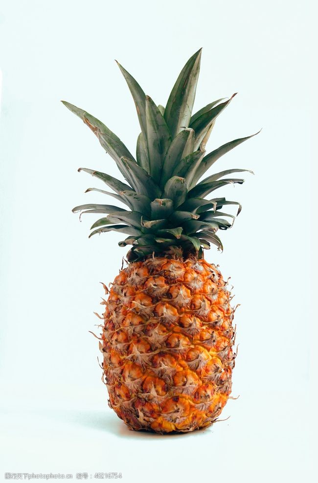 美发展架菠萝图片