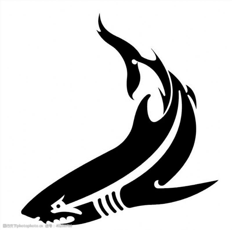 海洋鱼大白鲨矢量图图片