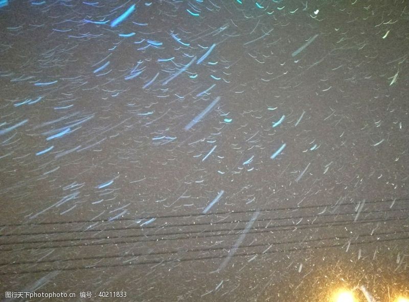 下雪的灯光下的飘雪图片