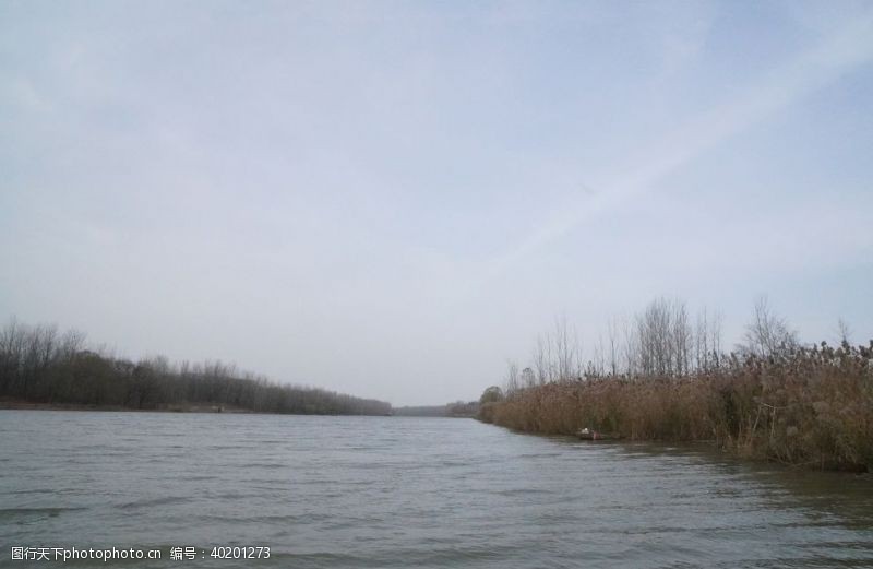 河塘河流图片