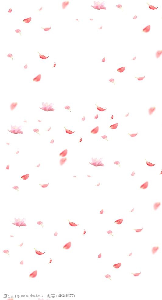 粉色花花瓣图片