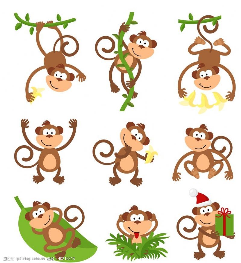 卡通小鸟卡通动物猴子图片