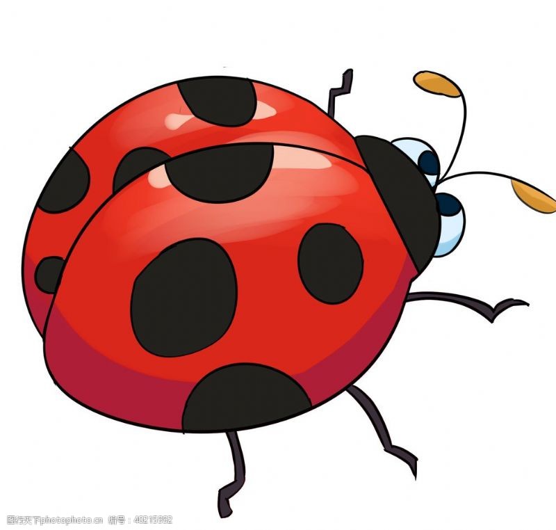 扁平动物卡通可爱瓢虫图片
