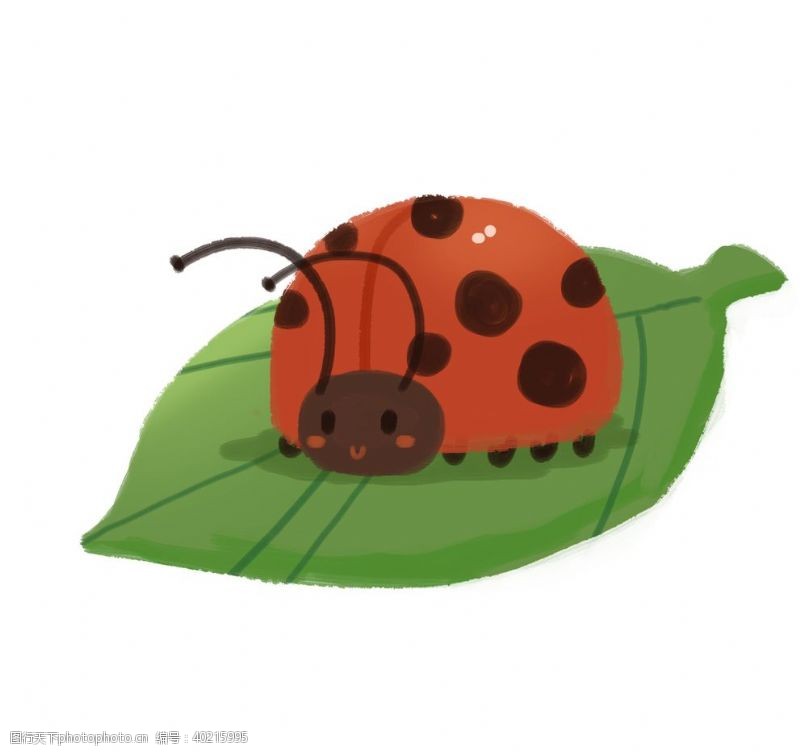 儿童画昆虫卡通瓢虫插画图片