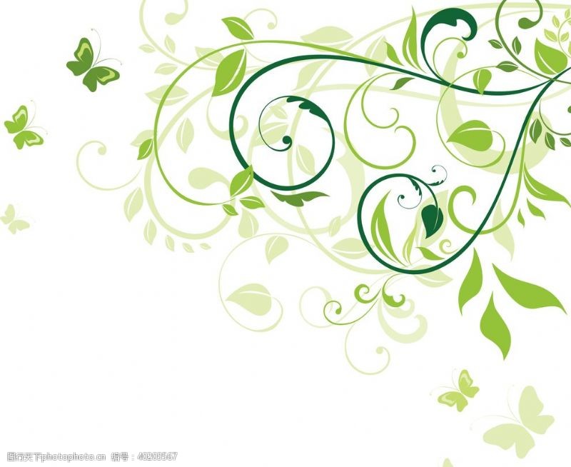 绿色蝴蝶素材绿叶图片