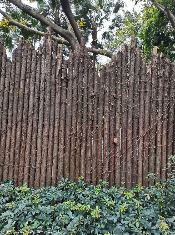 篱笆绿植墙图片