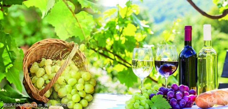 葡萄素材葡萄酒图片