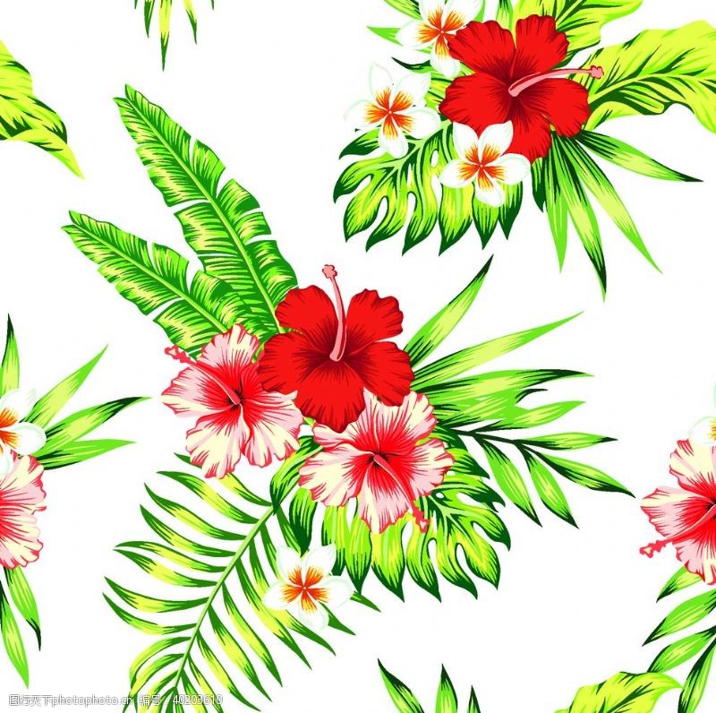 花卉设计热带花图片