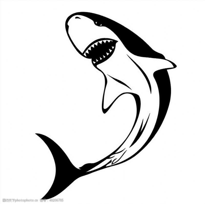 鱼图案鲨鱼矢量图图片
