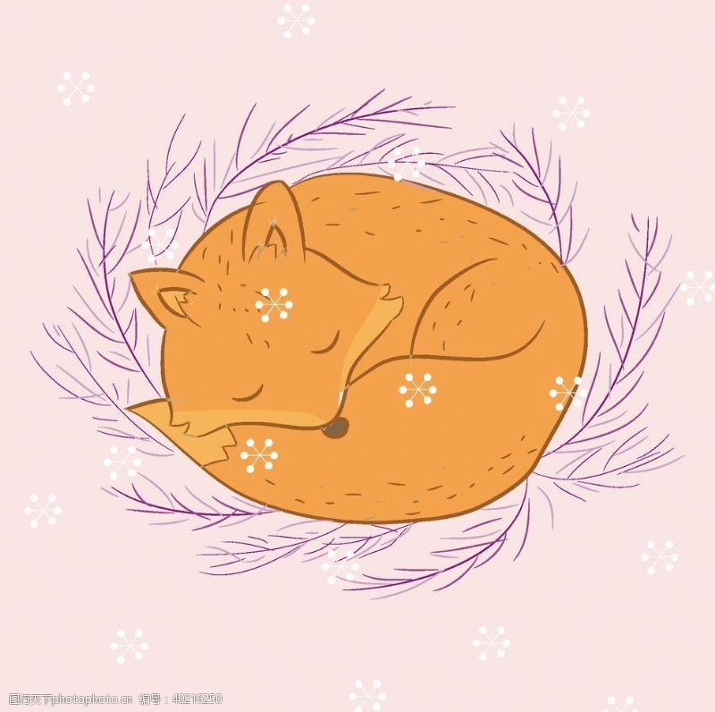 素描矢量狐狸插画图片