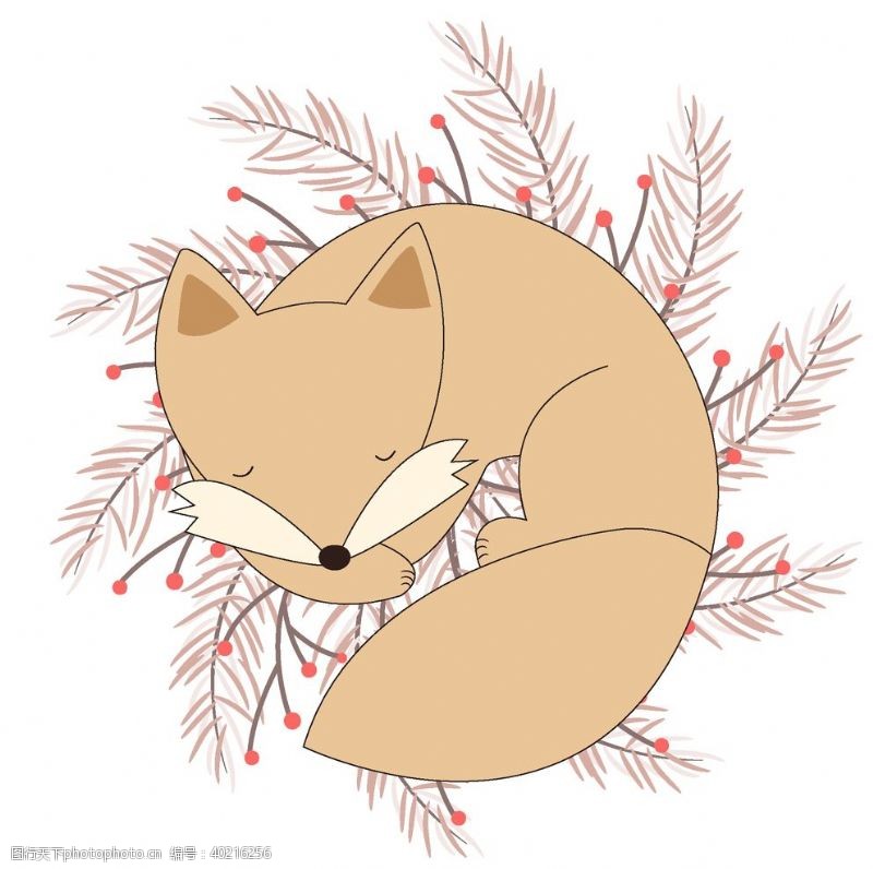 可爱的卡通矢量手绘狐狸图片