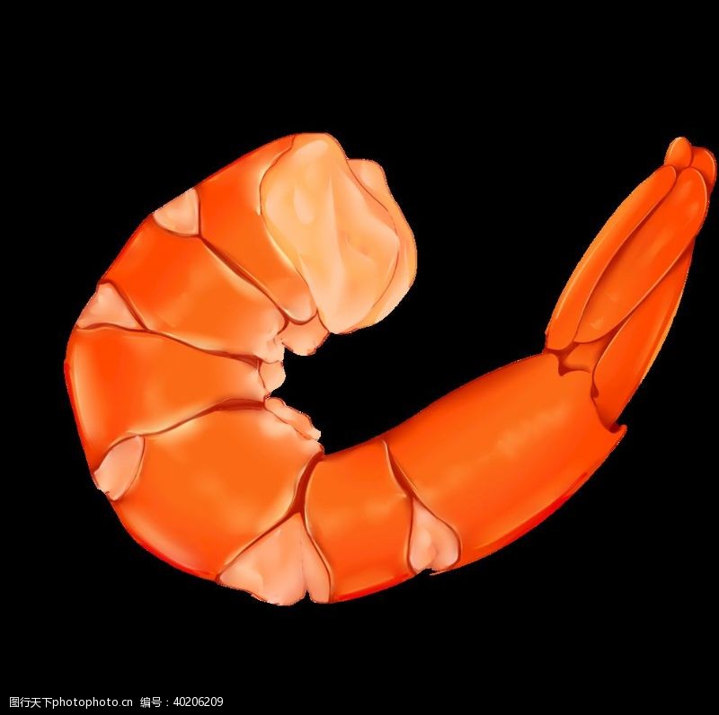 大龙虾海报虾图片