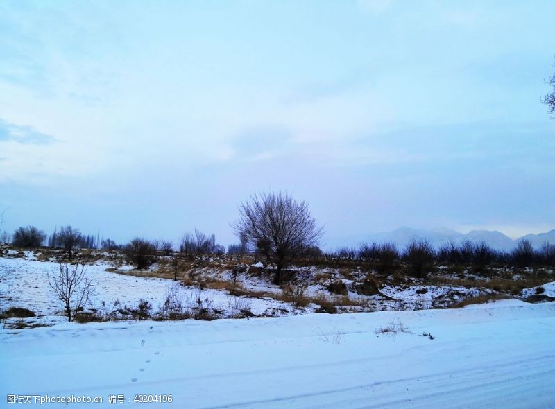 蓝光雪景图片