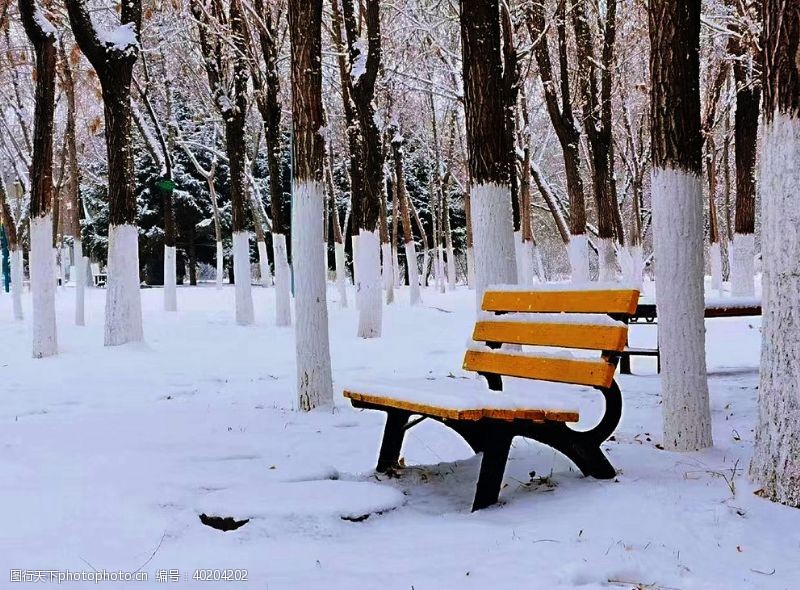 山石雪景图片