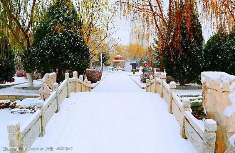 黄河雪景图片