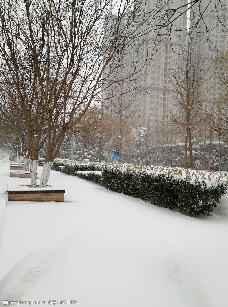 冬天的城市雪景图片