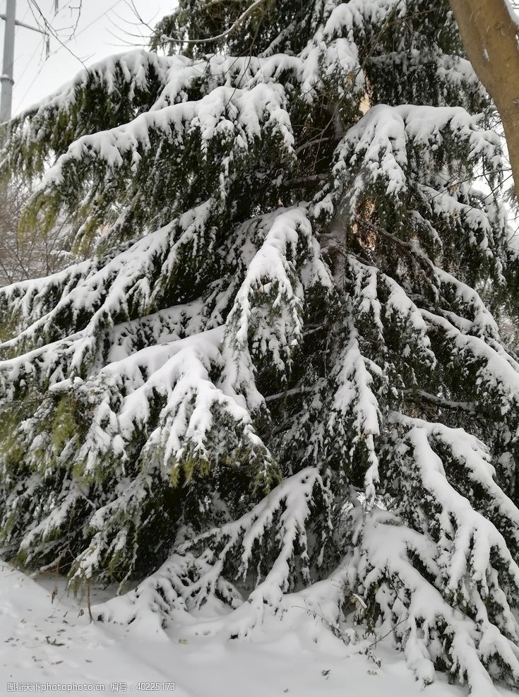 积木雪树图片