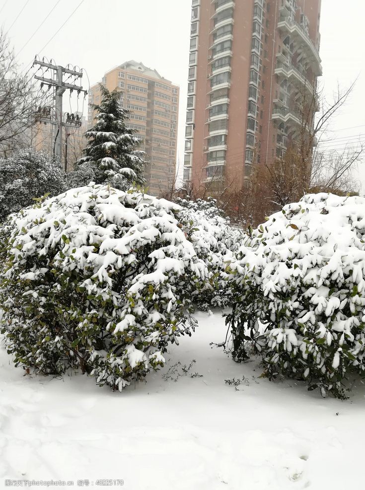 冬天的城市雪天景观图片