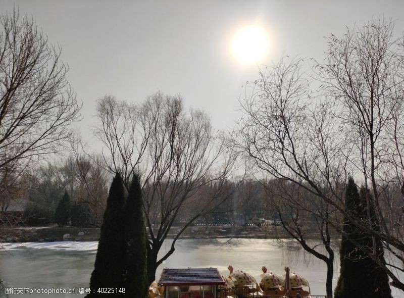 公园景观冬日阳光图片