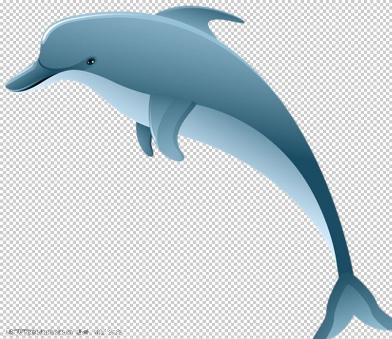 海底海洋世界海豚图片